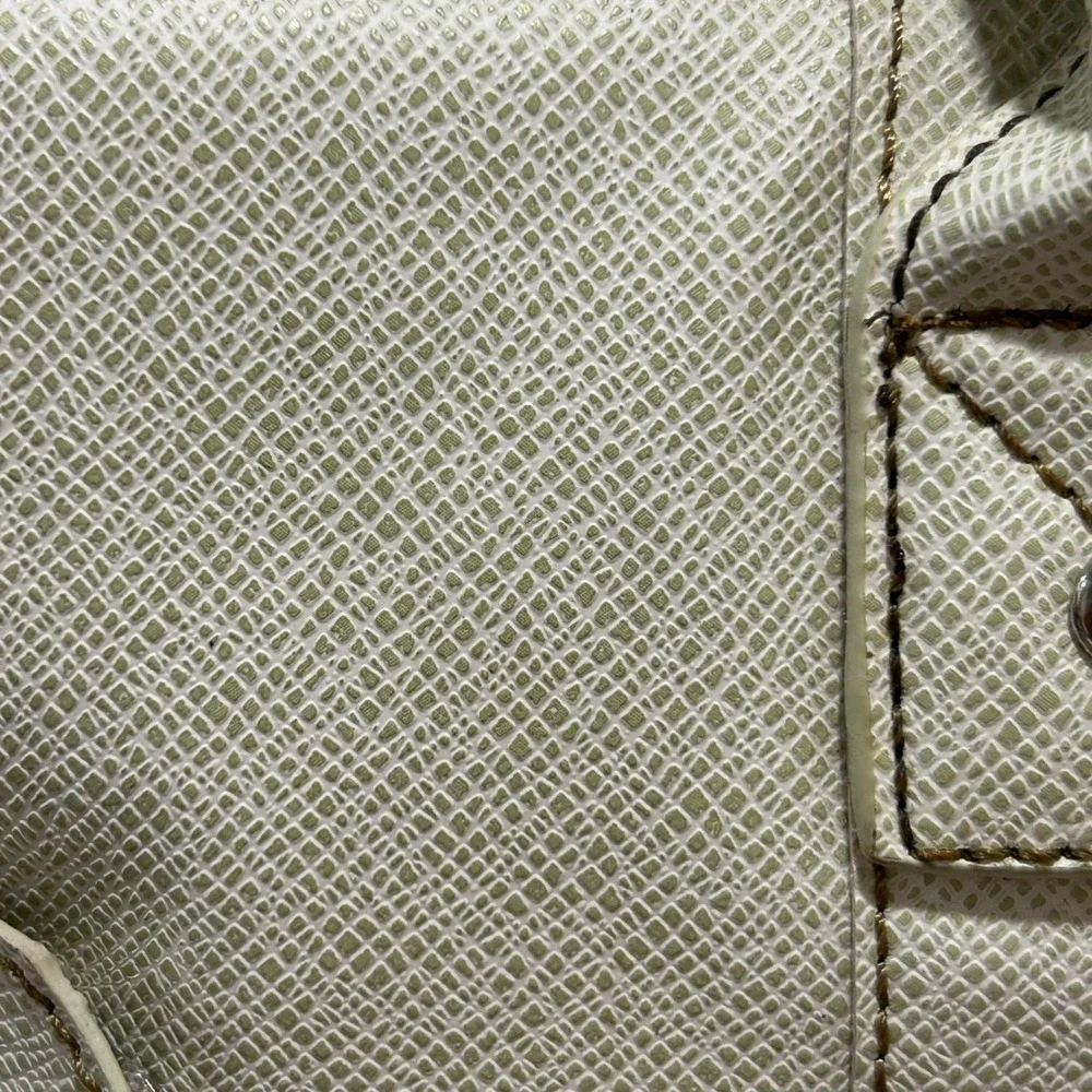 Denali Sage green‎ and creme Laptop bag